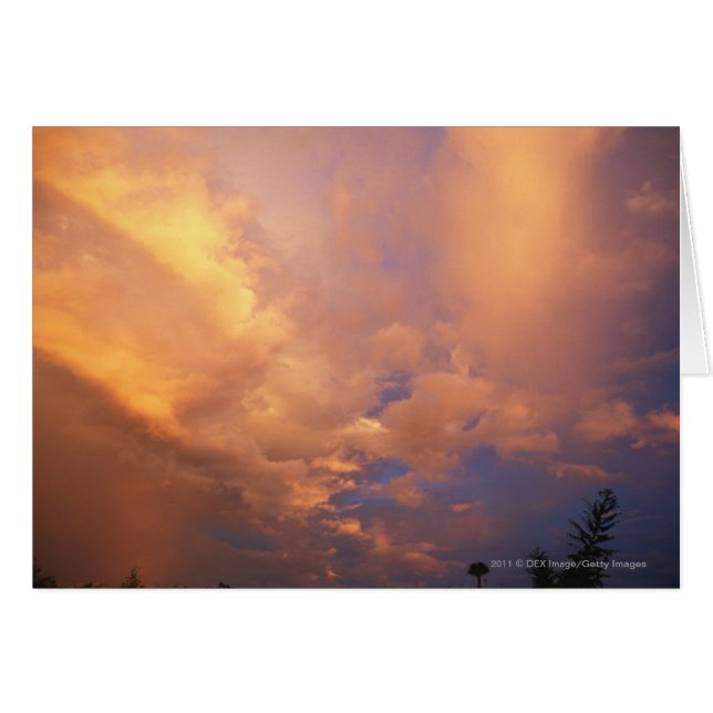 雲の後ろの日曜日の設定 (正面横)