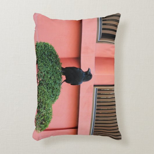 雲の木に止まり木を張る大きなハングルカラス アクセントクッション (正面(垂直))