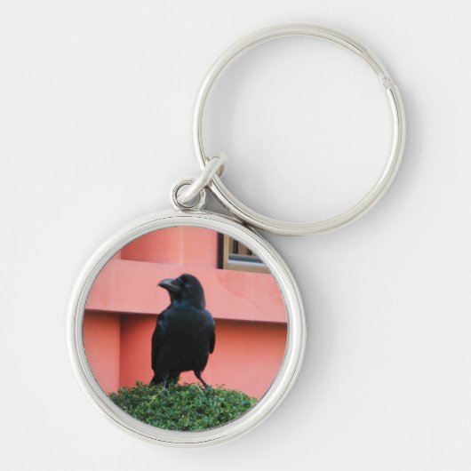 雲の木に止まり木を張る大きなハングルカラス キーホルダー (正面)