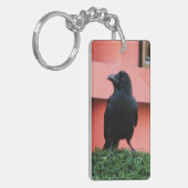 雲の木に止まり木を張る大きなハングルカラス キーホルダー (正面左)