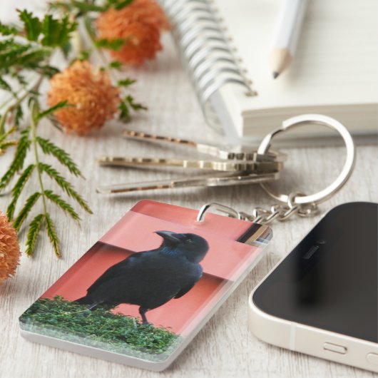 雲の木に止まり木を張る大きなハングルカラス キーホルダー (正面右)