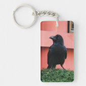 雲の木に止まり木を張る大きなハングルカラス キーホルダー (正面)