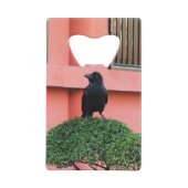 雲の木に止まり木を張る大きなハングルカラス クレジットカード栓抜き (正面)