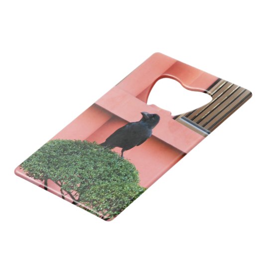 雲の木に止まり木を張る大きなハングルカラス クレジットカード栓抜き (裏面アングル)