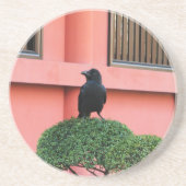 雲の木に止まり木を張る大きなハングルカラス コースター (正面)