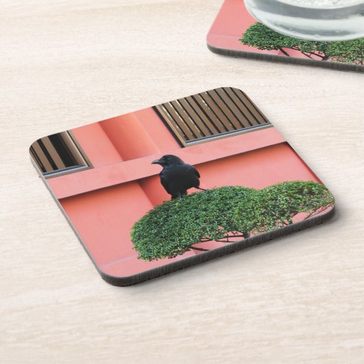 雲の木に止まり木を張る大きなハングルカラス コースター (左側)