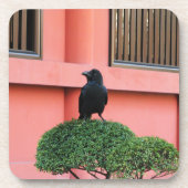 雲の木に止まり木を張る大きなハングルカラス コースター (正面)