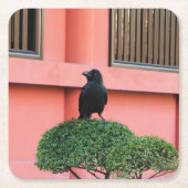 雲の木に止まり木を張る大きなハングルカラス スクエアペーパーコースター (正面)