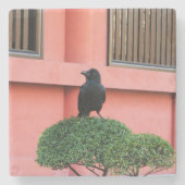 雲の木に止まり木を張る大きなハングルカラス ストーンコースター (正面)