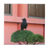 雲の木に止まり木を張る大きなハングルカラス タイル (正面)