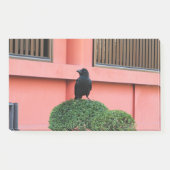 雲の木に止まり木を張る大きなハングルカラス ポストイット (正面)