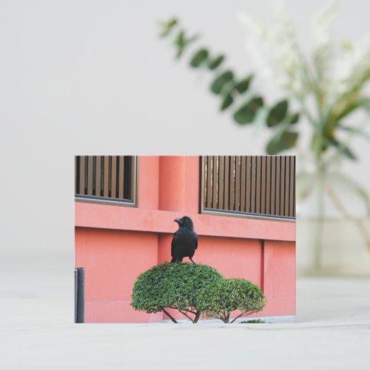 雲の木に止まり木を張る大きなハングルカラス ポストカード (スタンド正面)