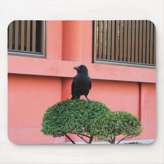 雲の木に止まり木を張る大きなハングルカラス マウスパッド (正面)