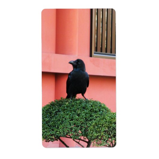 雲の木に止まり木を張る大きなハングルカラス ラベル (正面)
