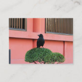 雲の木に止まり木を張る大きなハングルカラス 名刺 (裏面)