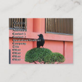 雲の木に止まり木を張る大きなハングルカラス 名刺 (正面)