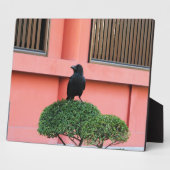 雲の木の上に止まり木を鳴らす大きなくちばしのジャングル フォトプラーク (側面)