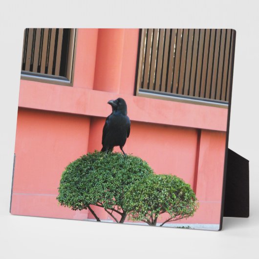 雲の木の上に止まり木を鳴らす大きなくちばしのジャングル フォトプラーク (側面)