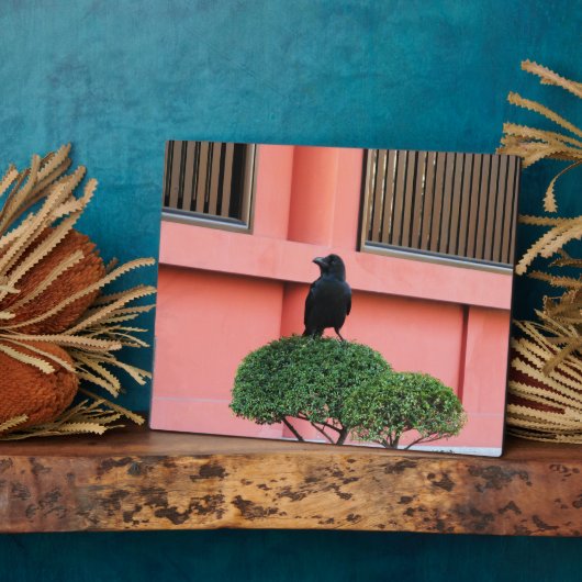 雲の木の上に止まり木を鳴らす大きなくちばしのジャングル フォトプラーク (側面)