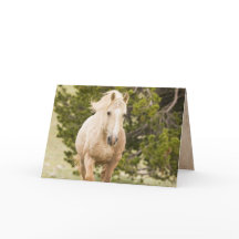 雲の来丘の上の野生の馬のグリーティングカード