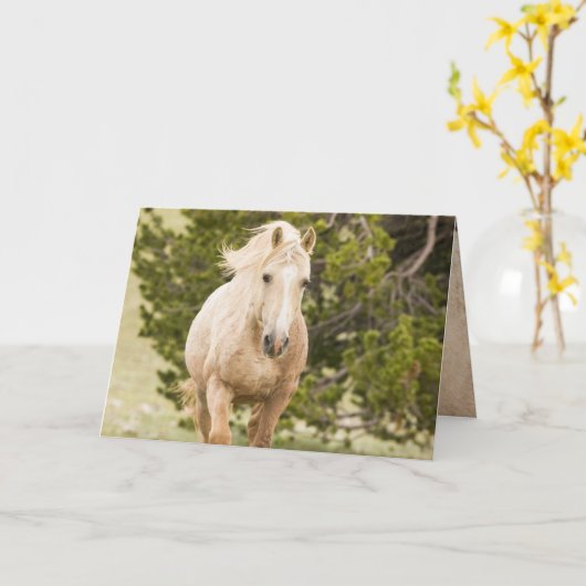 雲の来丘の上の野生の馬のグリーティングカード カード (黄色い花)