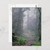 雲の森，キリマンジャロ山，タンザニア ポストカード (正面/裏面)