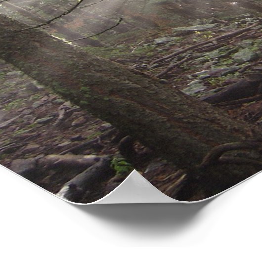 雲の歩く ポスター (角)