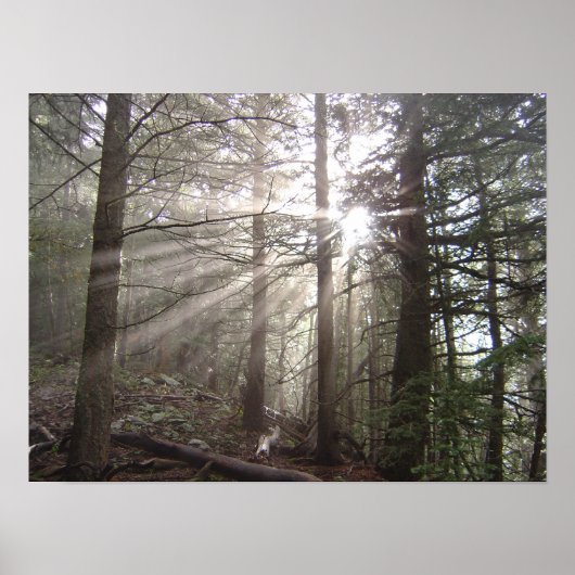 雲の歩く ポスター (正面)