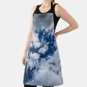 雲の渦 エプロン (インサイチュ)