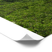 雲の湖 ポスター (角)