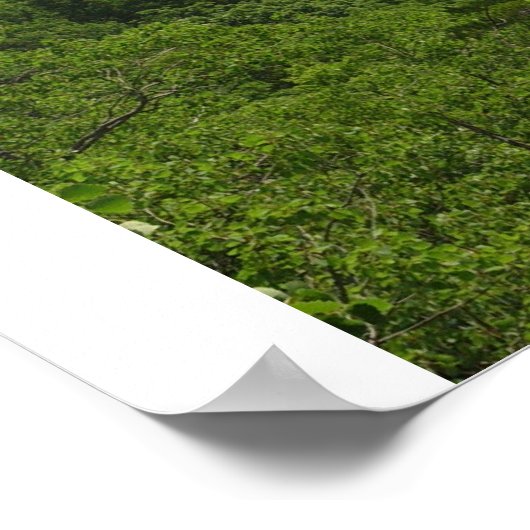 雲の湖 ポスター (角)