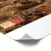 雲の立ち上がり – アリゾナ砂漠 ポスター (角)