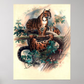 雲の虎 ポスター (正面)