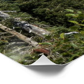 雲の通過山Rainier写真の光沢 ポスター (コーナー)