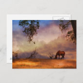 雲はがき付き美しい馬とオークの木 ポストカード (正面/裏面)