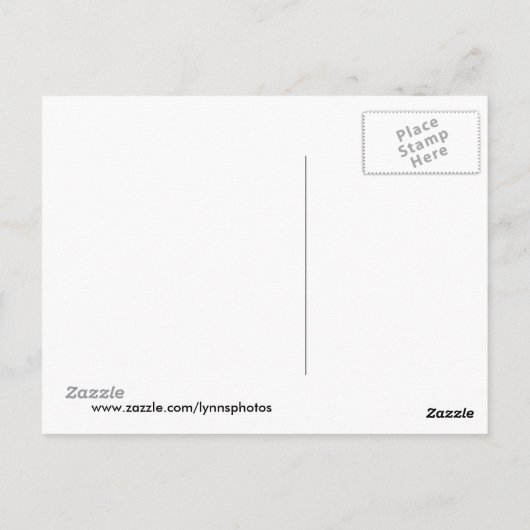 雲はがき ポストカード (裏面)