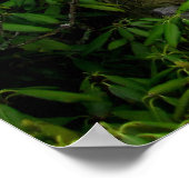 雲への階段、アパラチアの歩道 ポスター (角)