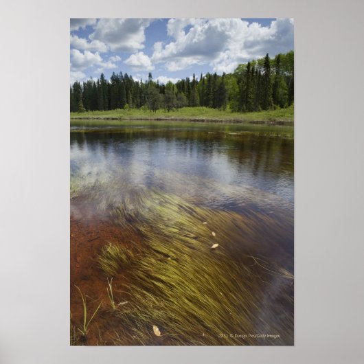 雲を反射する静かな池 ポスター (正面)