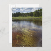 雲を反射する静かな池 ポストカード (正面/裏面)
