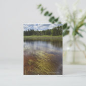 雲を反射する静かな池 ポストカード (スタンド正面)