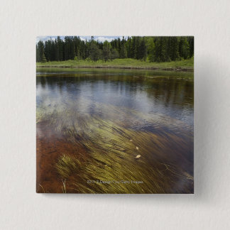 雲を反映する静かな池 缶バッジ