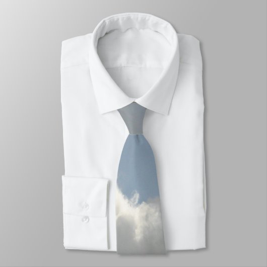 雲を持つカナダのガチョウ ネクタイ (タイ)