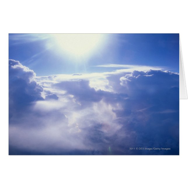 雲を通ってよじ登る日曜日 (正面横)