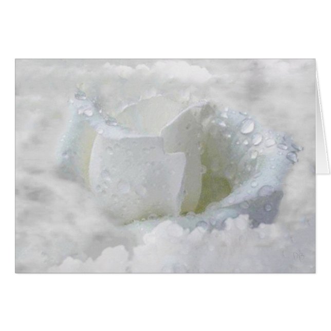 雲カード (正面横)