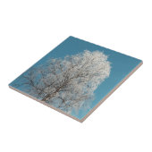 雲一つない青空に白い柳の木 タイル (側面)