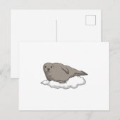 雲上のアザラシ ポストカード (正面/裏面)