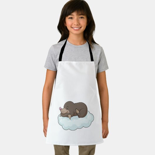 雲上のモル エプロン (インサイチュ)