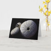 雲丹の挨拶状 カード (黄色い花)