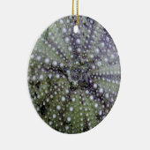 雲丹の貝殻 セラミックオーナメント (右)