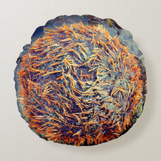 雲丹 ラウンドクッション